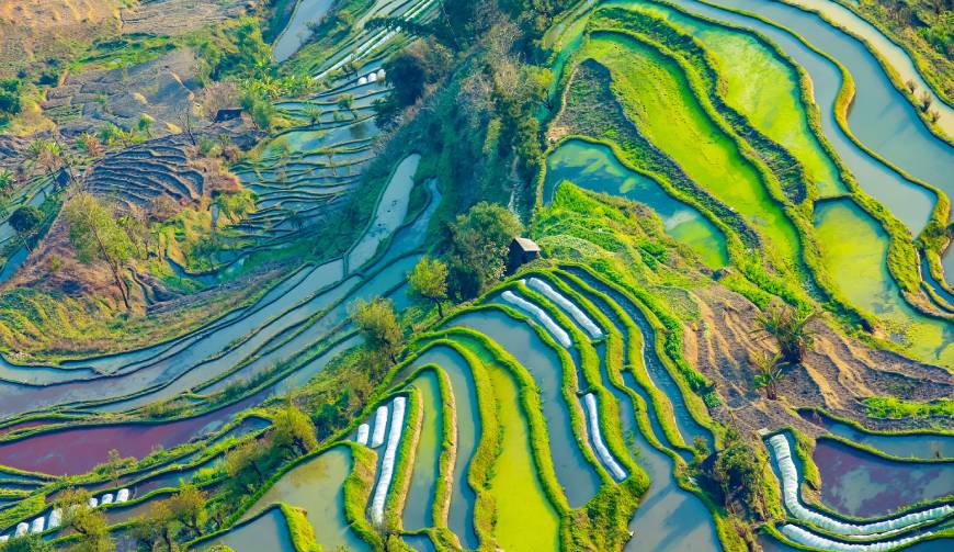 走进嘉陵区TVC拍摄：解锁本地化场景与创意镜头的完美融合